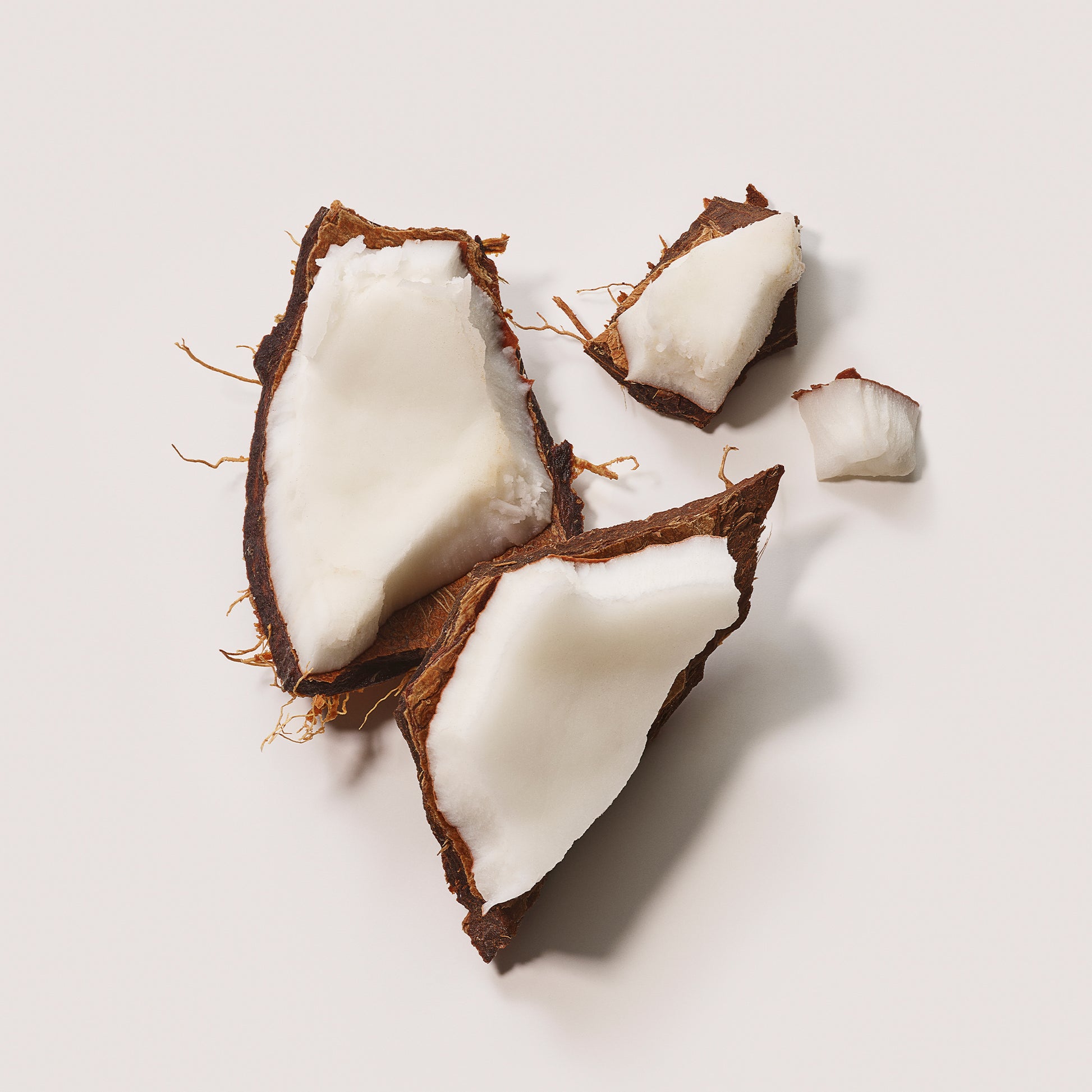 Almond Coconut Eau de Parfum